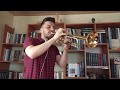 DANCE MONKEY - TRUMPET COVER