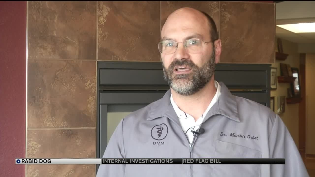 El Paso County dog tests positive for rabies virus YouTube