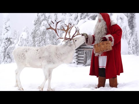 Message du Père Noël en Laponie aux enfants 😍🦌🎅 petit Papa Noel & rennes pour les familles