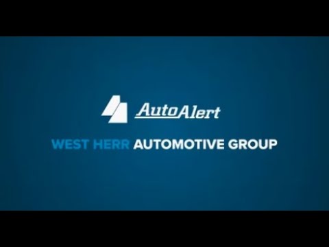 Top 150 Automotive Groups