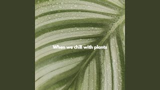 Simplistic Ambiance for Higher Powers