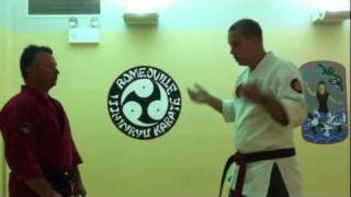 Isshin-Ryu Seisan Kata Bunkai