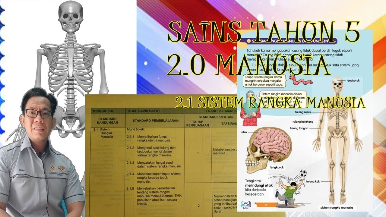 Sains Tahun 5 2 1 Sistem Rangka Manusia Youtube