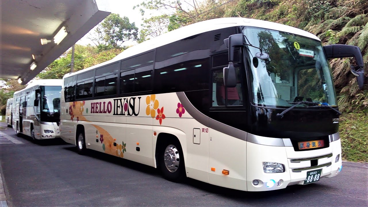 ハロー家康観光バス💛再び5台で指宿遊覧する💛💛Hello Ieyasu sightseeing bus went sightseeing again with 5 buses 💛💛