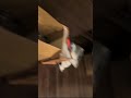 可愛すぎるマブダチ🫶🏻楽しかったぁ、本当にありがとう!