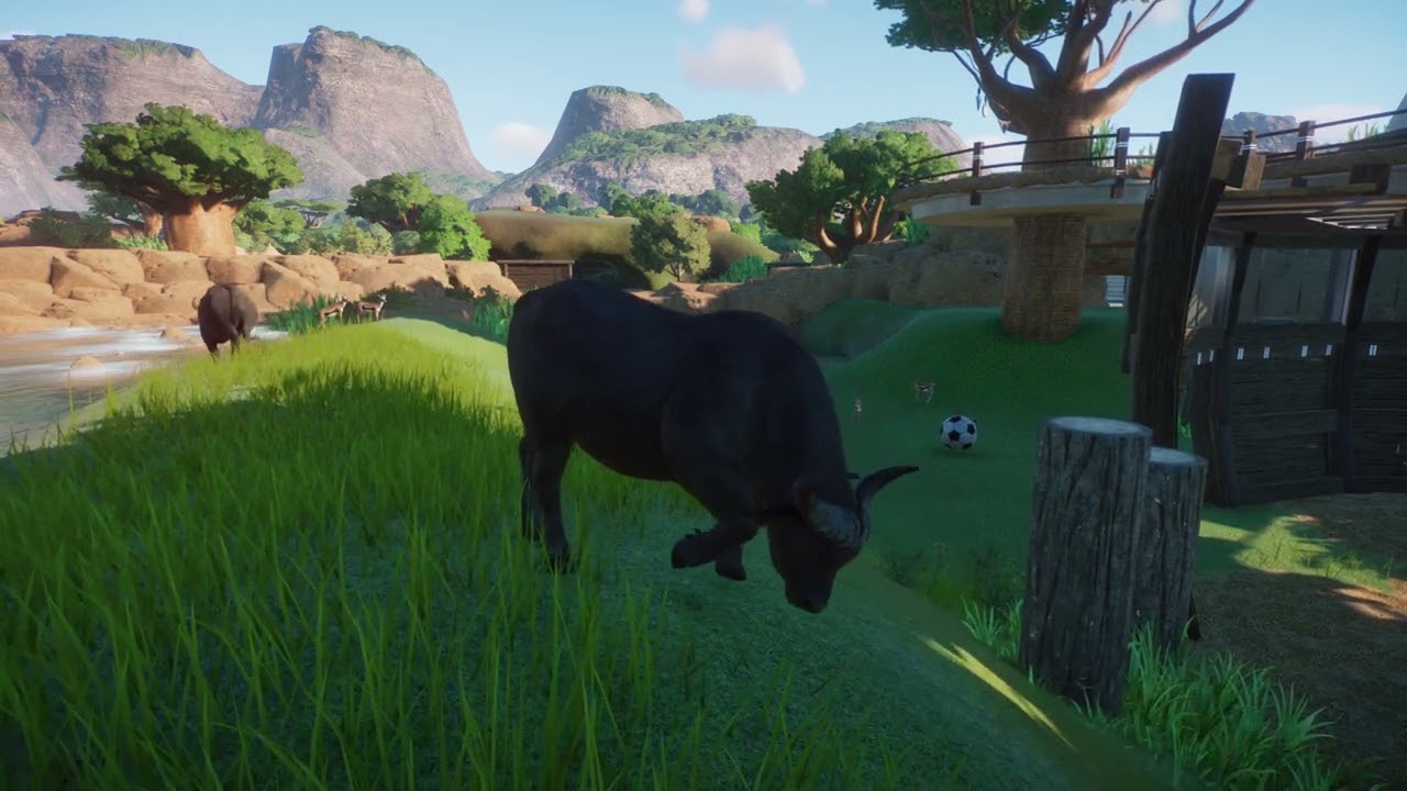 African Buffalo | Planet Zoo Animals