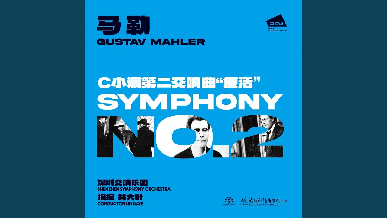 Symphony No.2 in C Minor, GMW 30 "Resurrection": II. Andante moderato, in A-Flat Major