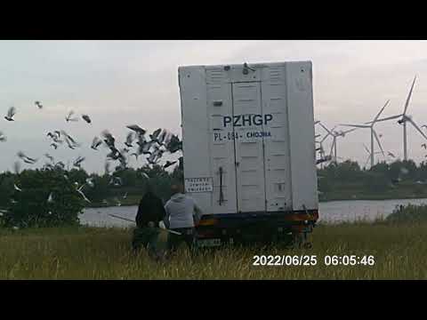 Bergen op Zoom I