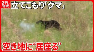 【捕獲難航】造船所に立てこもっていた「クマ」空き地に“居座る”　岩手・大槌町