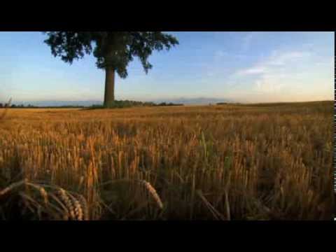 Top Tracks - Shahin & Sepehr