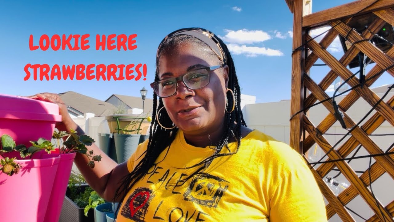 Lookie Here We Got Strawberries Popping!!