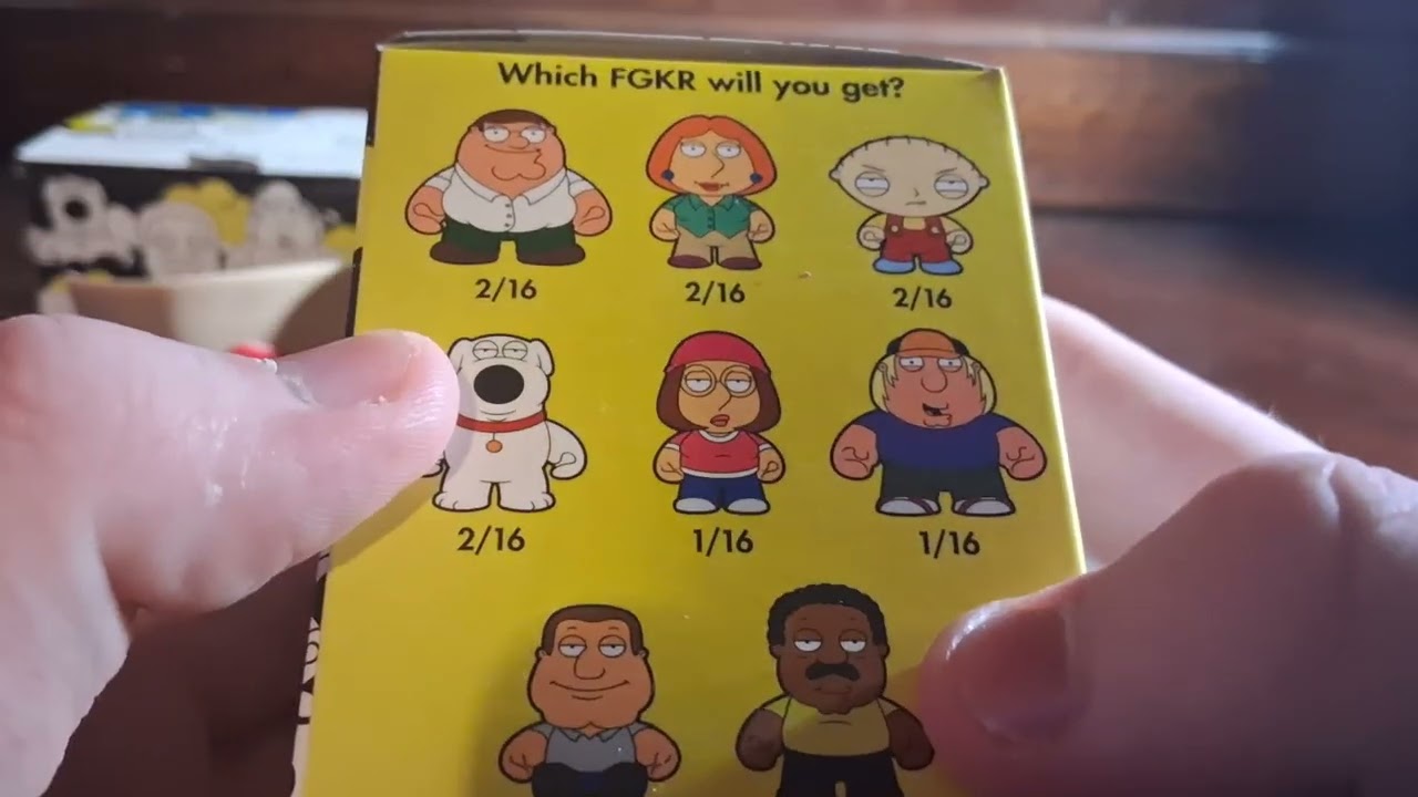 Kidrobot blind box palooza famliy guy and loony tunes 