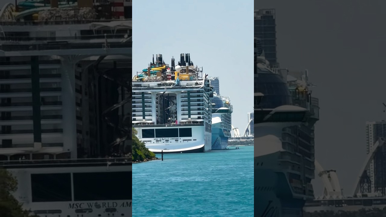 Msc World America & Icon of the Seas docked face to face at port of Miami #seadays #cruiseship