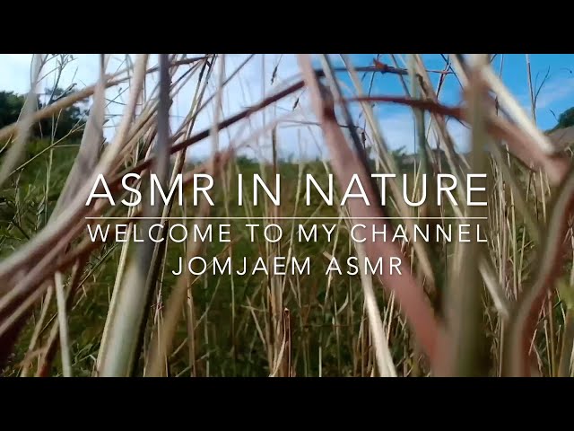 ASMR IN NATURE