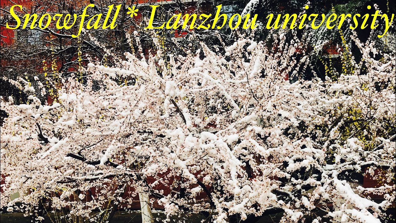 Lanzhou university || Snowfall ❄️ || Rang lageya || Monika Sharma