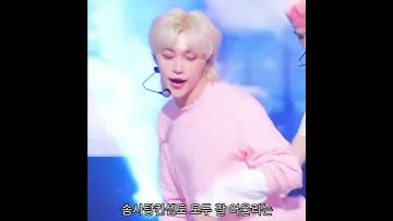 [스트레이키즈/필릭스] 이젠 이런 거 보면 저항없이 웃는 여성됨