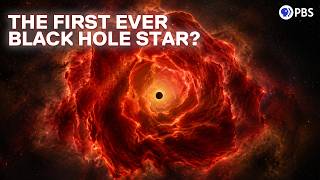 JWST May Have Discovered a New Cosmic Object: The Black Hole Star