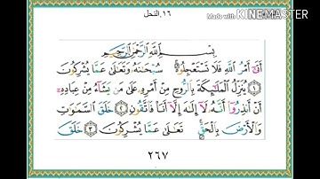 سورة النحل - من آية ( ١ ) إلى آية ( ١٤ ) - للقارئ : ياسر الدوسري .