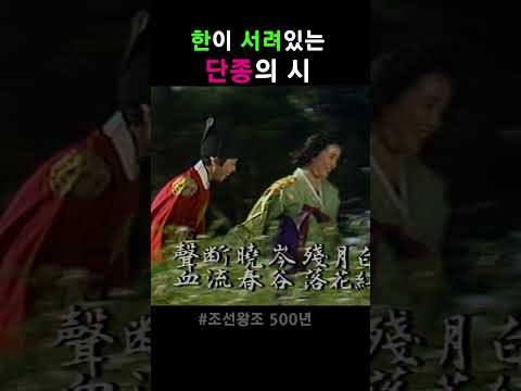 원통함이 담긴 단종의 시 #왕과사는남자 #단종 #shorts