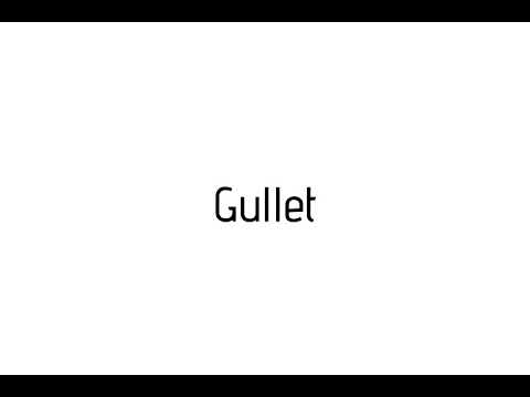 How to pronounce Gullet / Gullet pronunciation - YouTube
