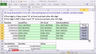 Famous Excel Magic Trick 911: Add Leading Zero and Dash, More Examples From Mr Excel & excelisfun Trick 107 Net Worth