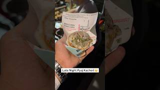 Late Night Pyaj Kachori &amp; Panipuri of Nagpur 😋 #nagpurvlogs #nagpurfoodies #hiddenspots