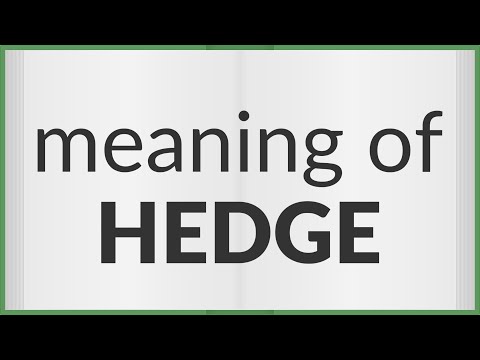 Hedge | meaning of Hedge