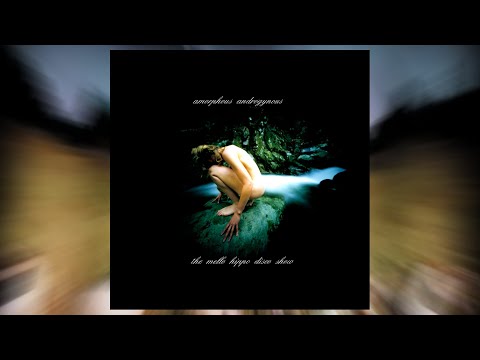 Amorphous Androgynous - The Mello Hippo Disco Show (Jacknife Lee mix)