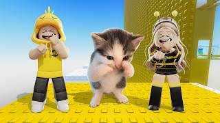 TROLL!! I've been infected with the KICAU MANIA Virus and the SCUBA Cat!! screenshot 5