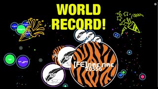 MULTIBOXING WORLD RECORD AGAR.IO - 36K!