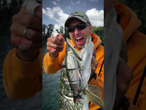 The Most Lifelike Swimbait? 💥 3D Line Thru Whitefish #SavageGear #3DWhitefish #Fishing thumbnail