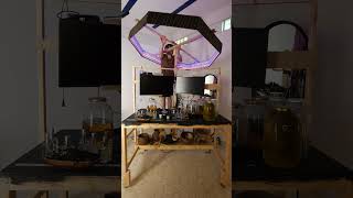 Hasta El Feo Que Es Mal Hecho Pero Lindo