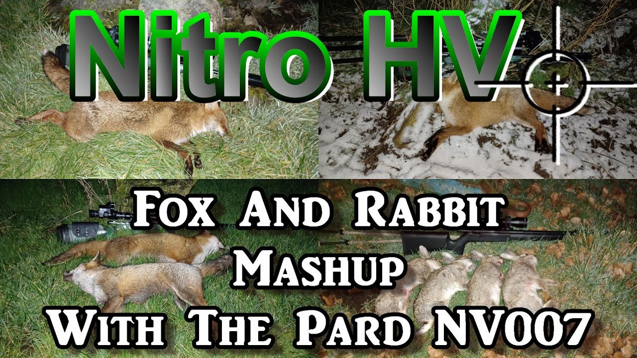 Nitro HV Fox And Rabbit Mashup With The Pard NV007 - YouTube