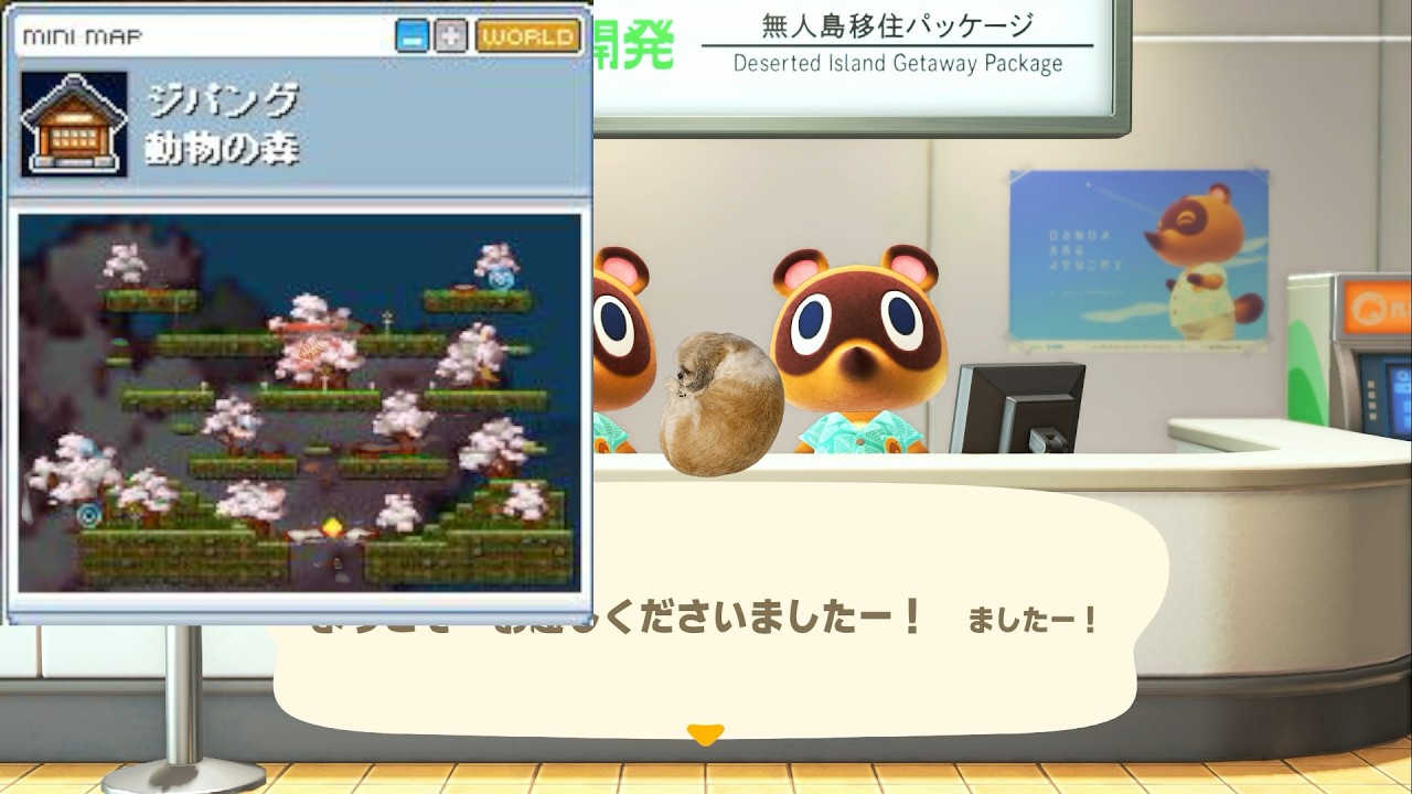 【オンラインゲーム実況配信】ここに祝日欲しいよね？配信(2/5)　誕生日だしどうぶつの森を楽しく遊ぼう！火狸・・・？