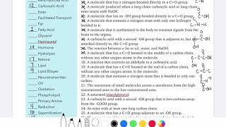 Test 2 Study Guide Word Match
