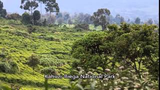 Congo ????? ??????????? ? ?????