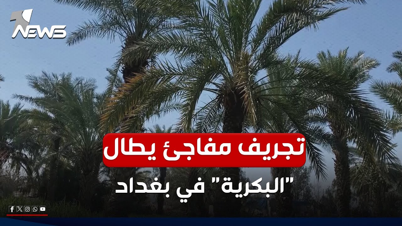 تجريف مفاجئ يطال 