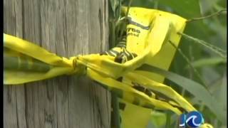 Police: Child killed, driver attacked on the Eastern Shore