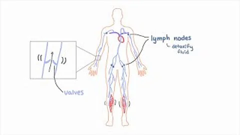 Lymphedema  Explained - DayDayNews