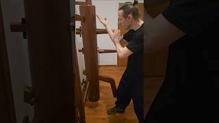 Forearm Blocking!!! #wingchun #woodendummy #kungfu #martialarts #training #exercise #shorts #diy