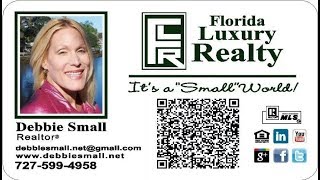 Realtor Pasco Pinellas Hillsborough Hernando Counties
