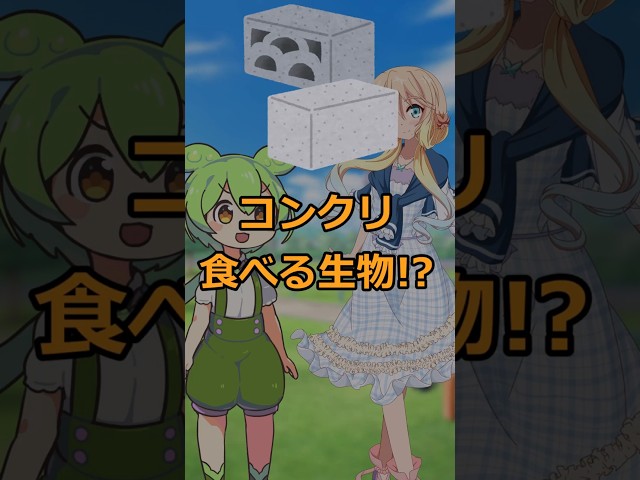 コンクリートを食べる生物!?#voicevox劇場#shorts #ずんだもん