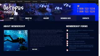 Diving Responsive Website Template
