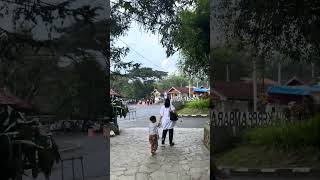 GERIMIS DI GUA MARIA KEREP AMBARAWA
