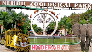 ZOO PARK -Hyderabad