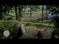 RED DEAD REDEMPTION 2 - Arthur Helping Wild life Photographer | Red Dead Redemption 2 on PS4 Slim
