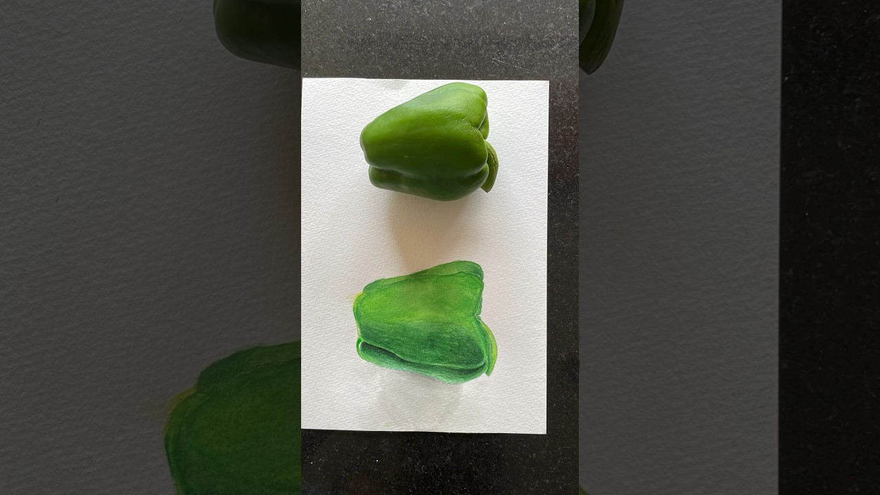 Realistic Capsicum 🫑 Painting 