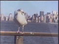 Un paseo por New York Diciembre  2003 