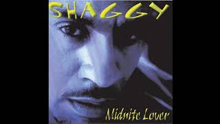 Shaggy - Tender Love