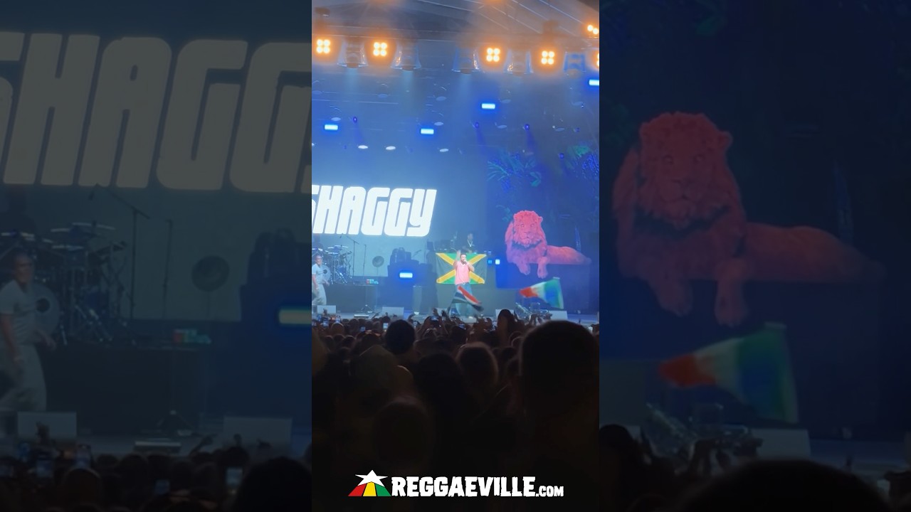 MR BOOMBASTIC aka SHAGGY @ Rototom Sunsplash 2025 🇪🇸